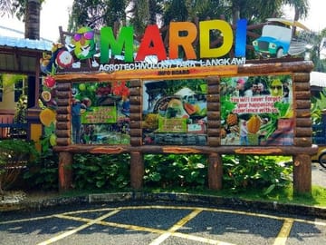 Langkawi Mangrove Boat tour With Mardi Agrotechnology Fruit Park