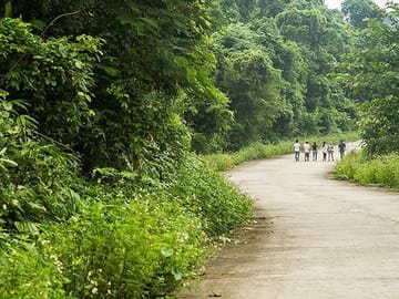 Cuc Phuong National Park