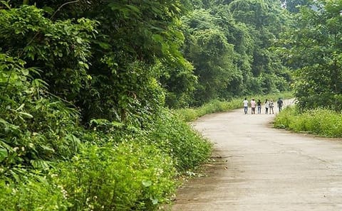 Cuc Phuong National Park Eco-Adventure from Hanoi