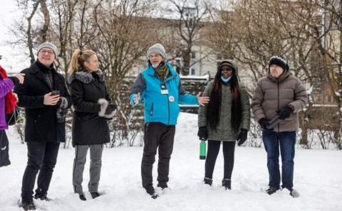 Private Cat-Themed Tour in Reykjavík with Local Treats