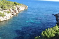 Mallorca Full Day Sailing with Paella 4