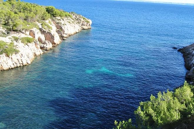 Mallorca Full Day Sailing with Paella photo 4