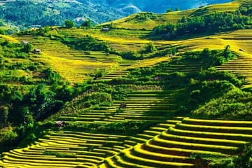 Three-Day Ha Giang Loop Tour from Hanoi by Limousine Bus