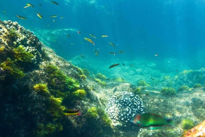 Private Cabo 2 Bays Kayak & Snorkel at Santa Maria & Chileno Bay 9