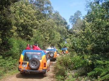 Southwest Madeira 4x4 Adventure Tour: Calheta to Jardim do Mar
