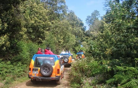 Southwest Madeira 4x4 Adventure Tour: Calheta to Jardim do Mar