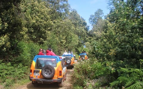 Southwest Madeira 4x4 Adventure Tour: Calheta to Jardim do Mar