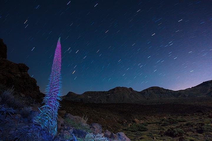 Teide under the stars