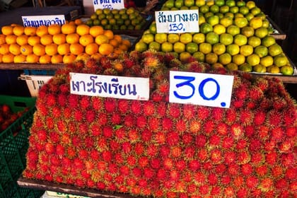 Authentic Gastronomy Experience, Private Tour