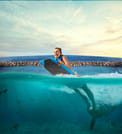 Dolphin Swim Adventure in Dolphin Cove Ocho Rios  2