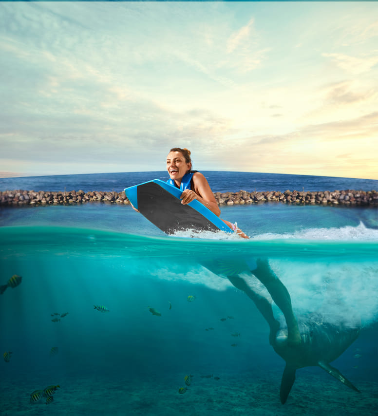 Dolphin Swim Adventure in Dolphin Cove Ocho Rios  2