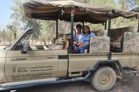 Private Tour Desert Castles Eastern Jordan with Shaumari Wildlife & Azraq Wetland 2