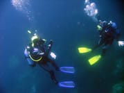 Scuba diving 5