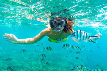 Full-Day Snorkeling Tour to Paradise Island in Hurghada