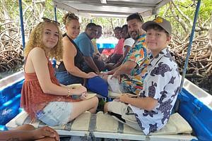 Roatan VIP Free-Style Private Tour