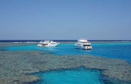 Snorkeling Day Trip at Sataya Reef in Egypt
