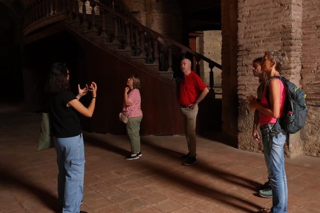 Istanbul: Topkapi Palace, Harem, & Basilica Guided Tour 2