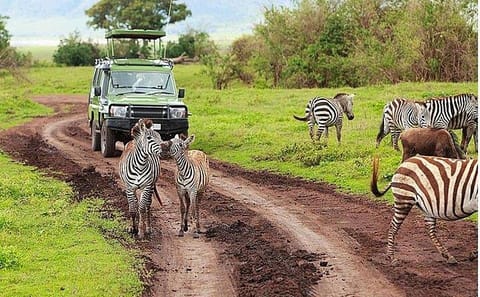 All-Inclusive 3-Day Camping Safari in Amboseli National Park