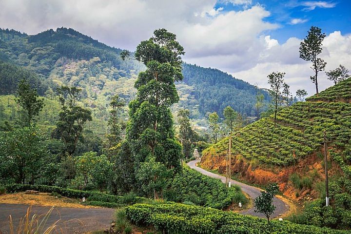 Knuckles Mountain Range Trekking Adventure from Kandy