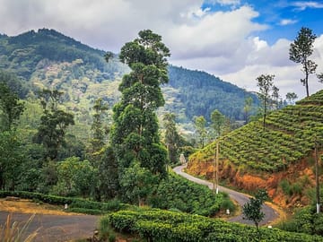 Knuckles and Riverston Trekking Tour from Kandy