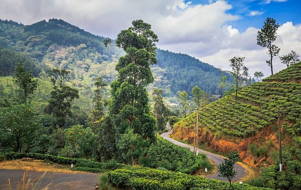 Knuckles and Riverston Trekking Experience From Kandy