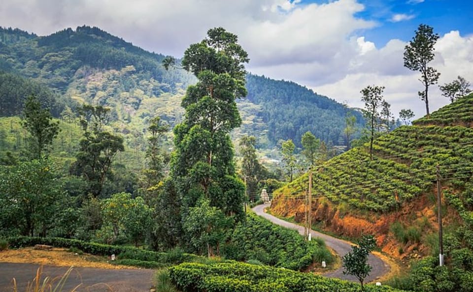 Knuckles and Riverston Trekking Tour from Kandy