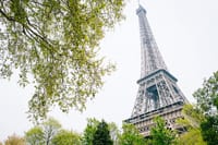 Paris Small Group Tour with Beauvais–Tillé Airport Transfer 5