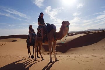 Camel Ride at Sunset in Merzouga Dunes, Morocco