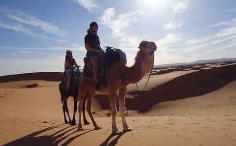 Camel Ride at Sunset in Merzouga Dunes, Morocco