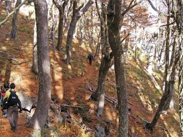 Cerro Trekking Tour from San Martin de los Andes