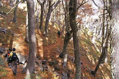 Colorado Hill Trekking Tour from San Martin de los Andes