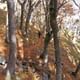 Cerro Trekking Tour from San Martin de los Andes