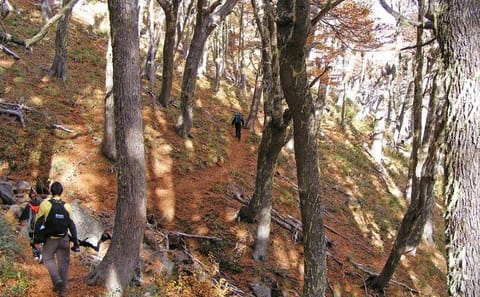 Hiking Tour to Colorado Hill from San Martin de los Andes