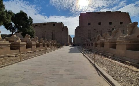 Small Group Cultural Tour to Luxor from Marsa Alam