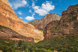 Zion Canyon National Park Private Day Tour for up to 5 guests by Bindlestiff Tours