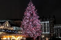 London West End and Royal Opera House Private Walking Tour 9