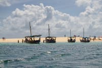 Mnemba Island Private Boat – Snorkel & Dolphin Adventure 5