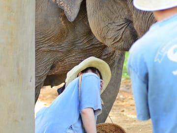 Hug Chang (Elephant) Chiangmai with Bamboo Rafting abd Long neck Tribe Village.