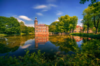 Breda in 1 Day - Walking Tour - Audioguide in 7 languages 4