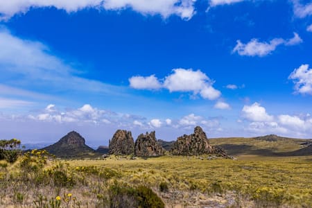 Nairobi National Museum & Snake Park Guided Tour: Discover Kenya’s Heritage