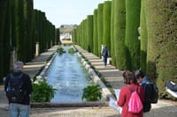Cordoba Monuments Intensive Tour in English Tickets included 2