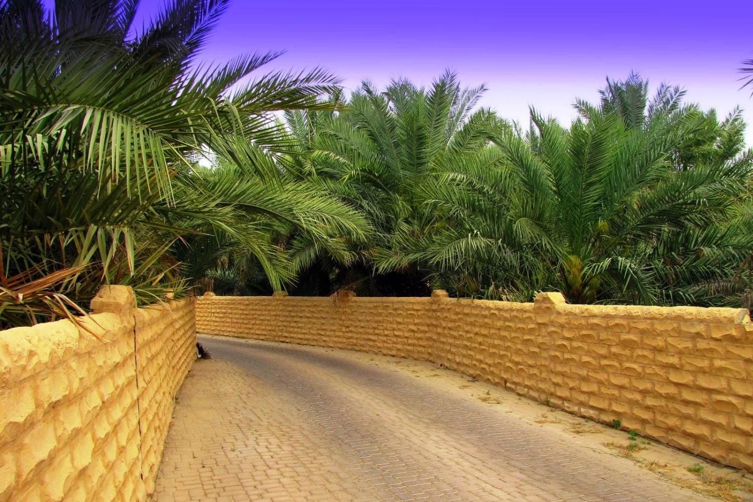 Al Ain Tour with Lunch with Daytur