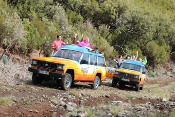 Jeep Tour and Wine Tasting in Madeira's Campanario and Caniço