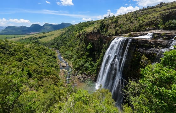 Kruger Park Highlights