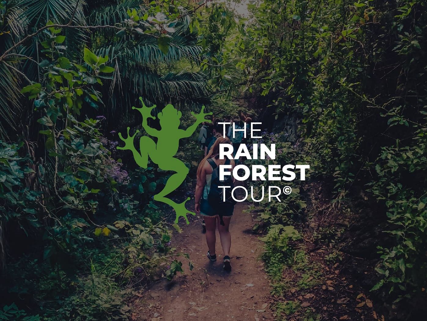 The Rainforest Tour