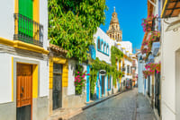 Cordoba in 1 Day - Walking Tour - Audioguide in 7 languages 3