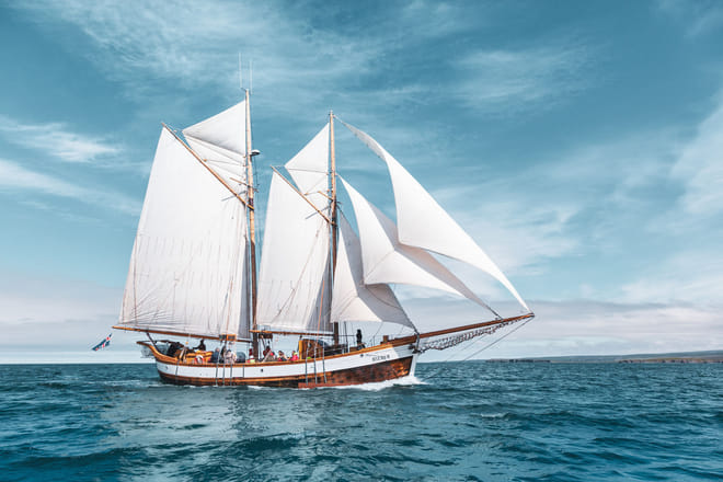 Whales, Sails and Science photo 4