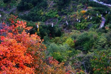Beijing Private Tour: Tiananmen Square, Forbidden City, Mutianyu
