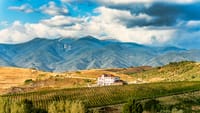 Wine Tasting & More in Villa Melnik – One of the World’s Best Wineries 1