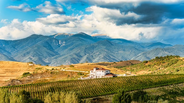 Wine Tasting & More in Villa Melnik – One of the World’s Best Wineries